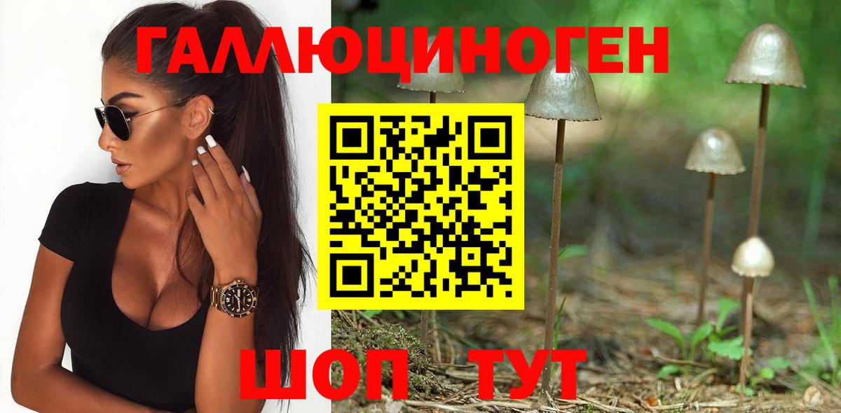 Псилоцибиновые грибы GOLDEN TEACHER Алапаевск