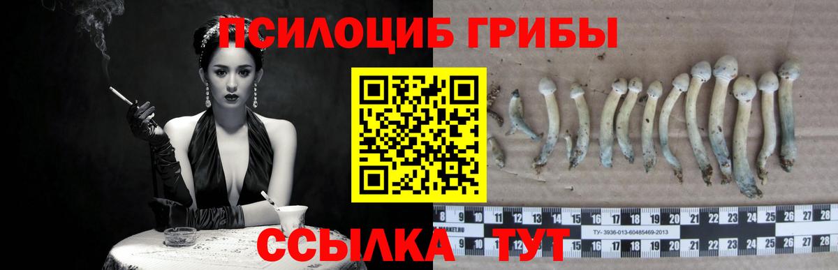 Алапаевск  купить наркоту  Вход с VPN  Галлюциногенные грибы Magic Shrooms  Галлюциногенные грибы ЛСД 